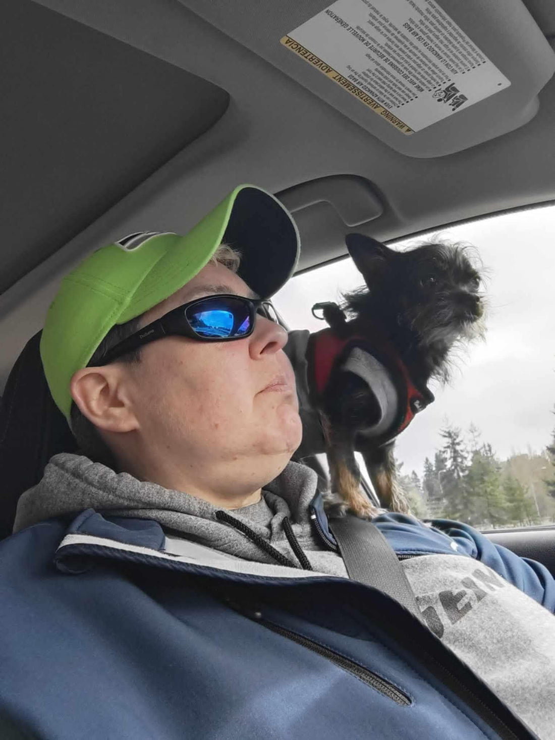 Capo and Capo dei capi